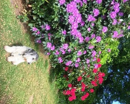 Bed & Breakfast Ingridsboplads *