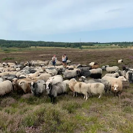 Ingridsboplads Vildbjerg